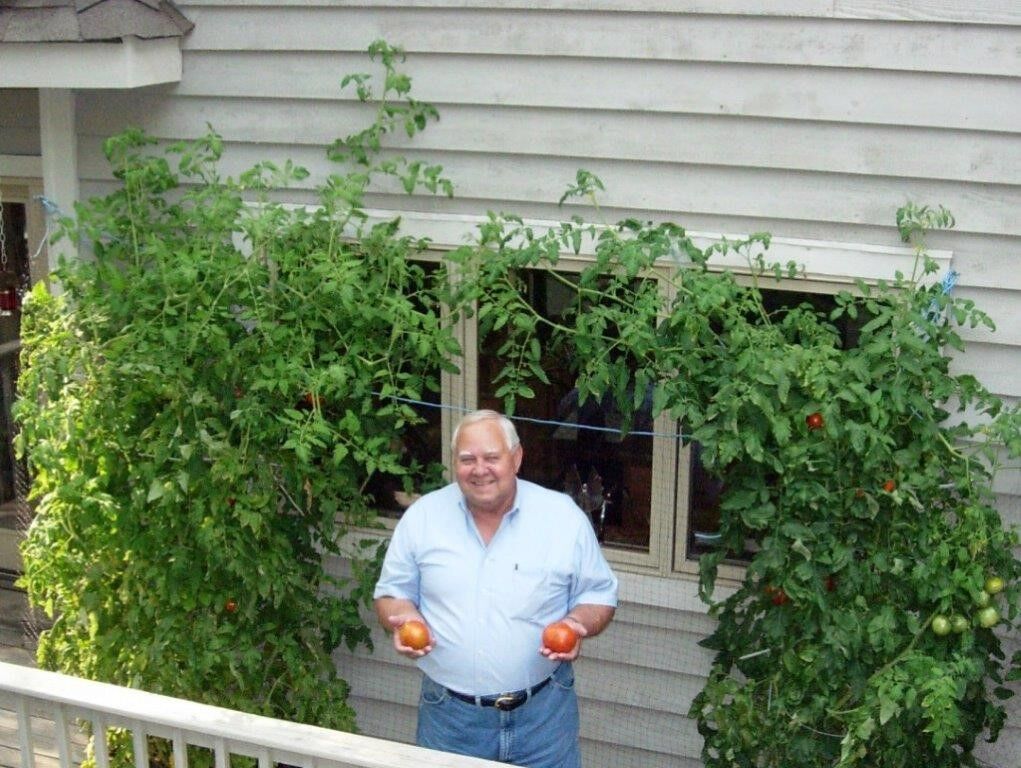 Ken Rice with tomatoes